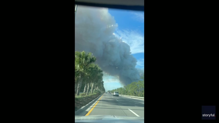 Wildfire burns 1,500 acres in southwest Florida