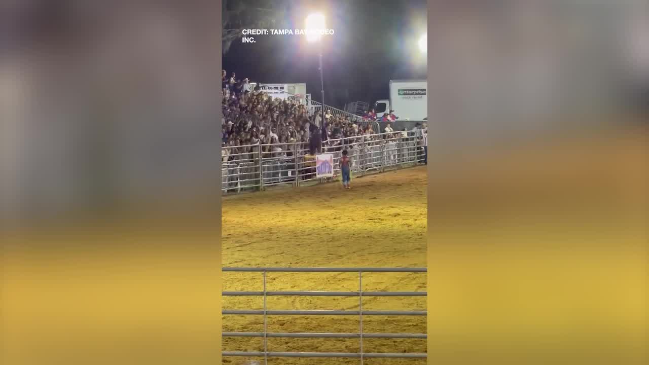 Tampa Bay Rodeo rider run over by horseback rider after performing ...
