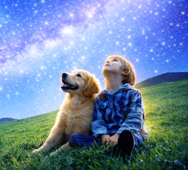 Elon Musk and the mystery of the Star Child