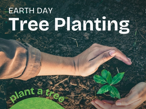 Community tree planting event set for Manhattan Beach