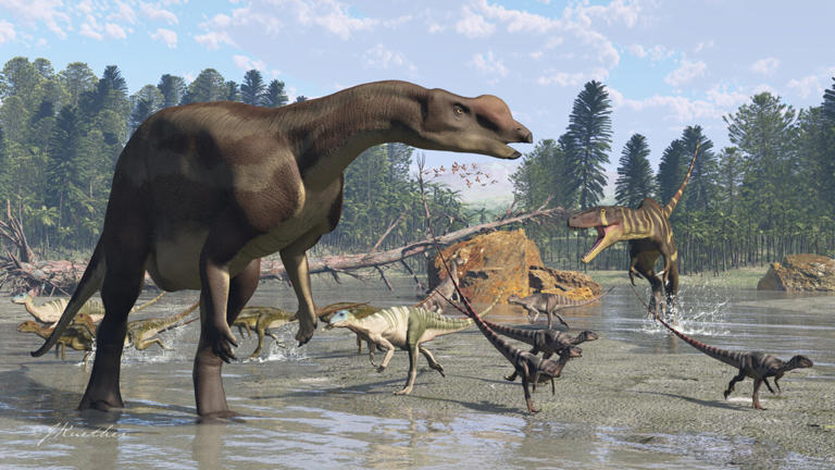Toothy snout recasts Australia's famed Muttaburrasaurus as a picky eater