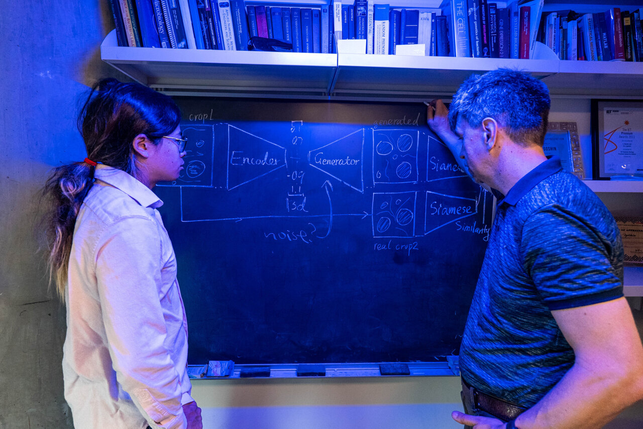 AI spots hidden behavior patterns in self-organizing bacteria