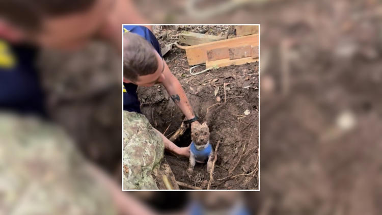 Woodway officers rescue dog trapped in armadillo tunnel