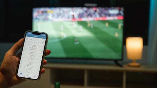 Person looking at phone with TV on in the background