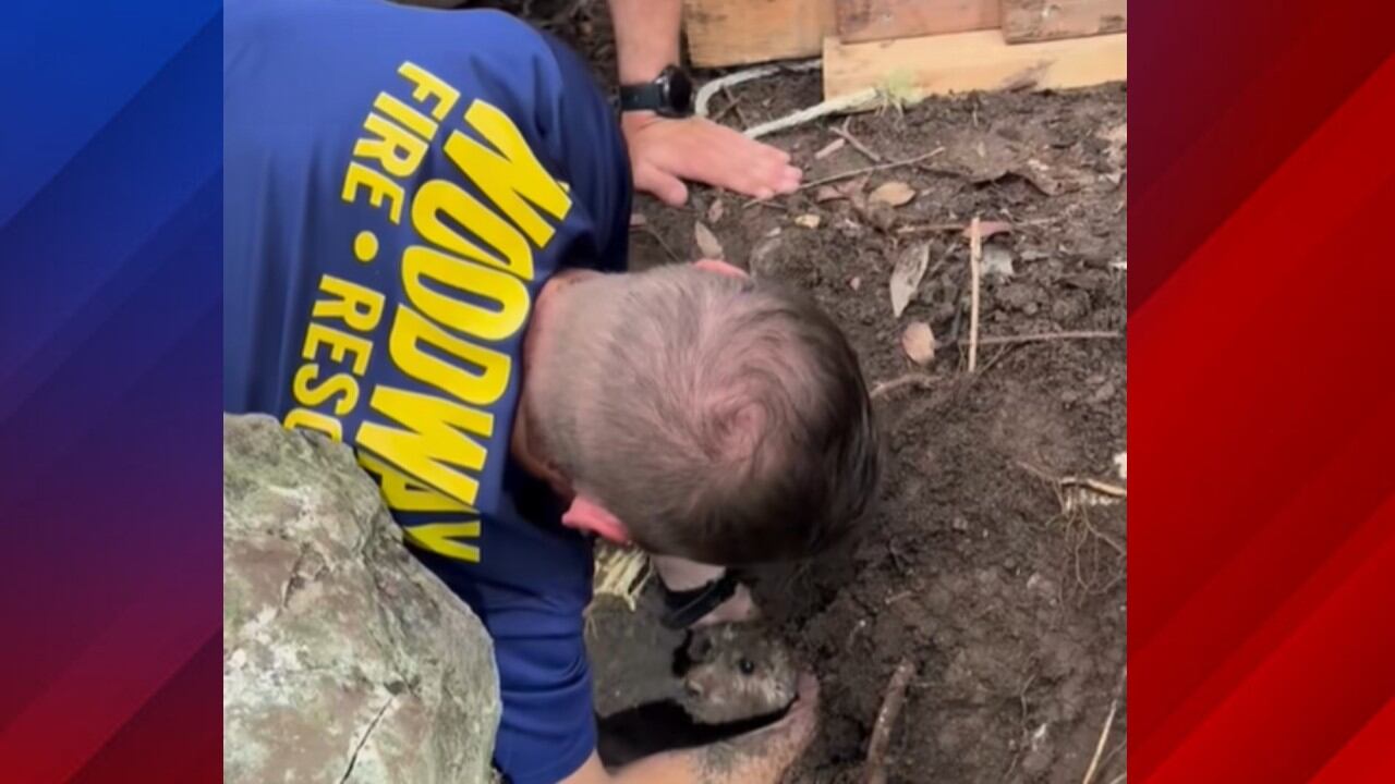 Woodway officers rescue small dog trapped in tunnel created by armadillo