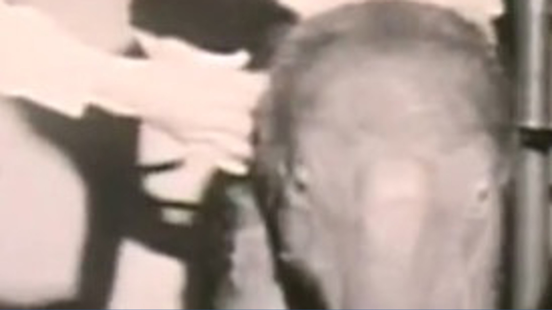 Remembering Packy the elephant, who would have turned 64 today