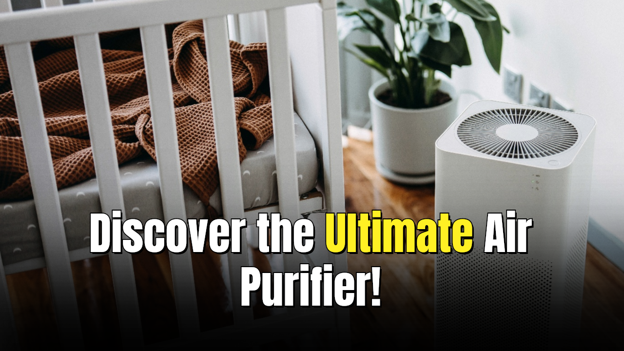 Best smart air purifiers with HEPA filters and app control (2026 guide)