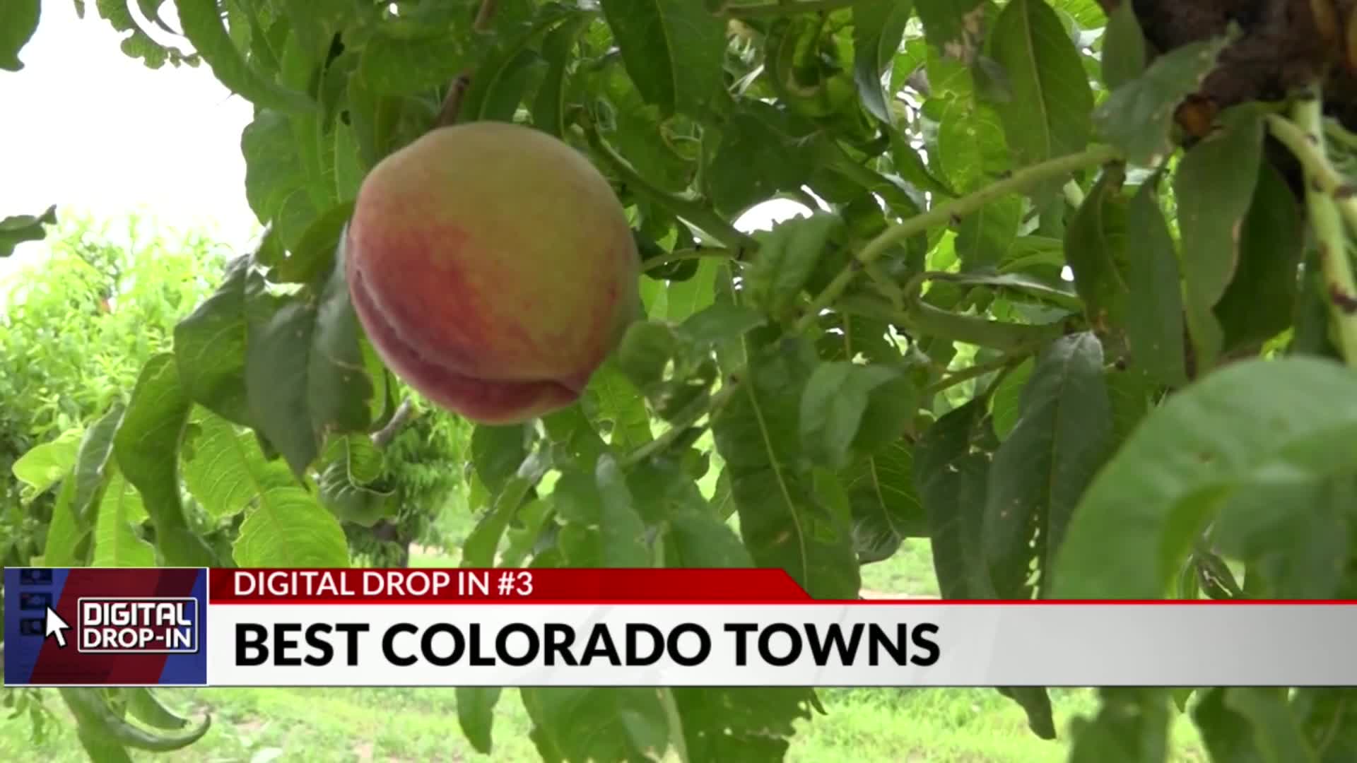 Denver’s first plant-based Japanese restaurant is opening new spot in ...