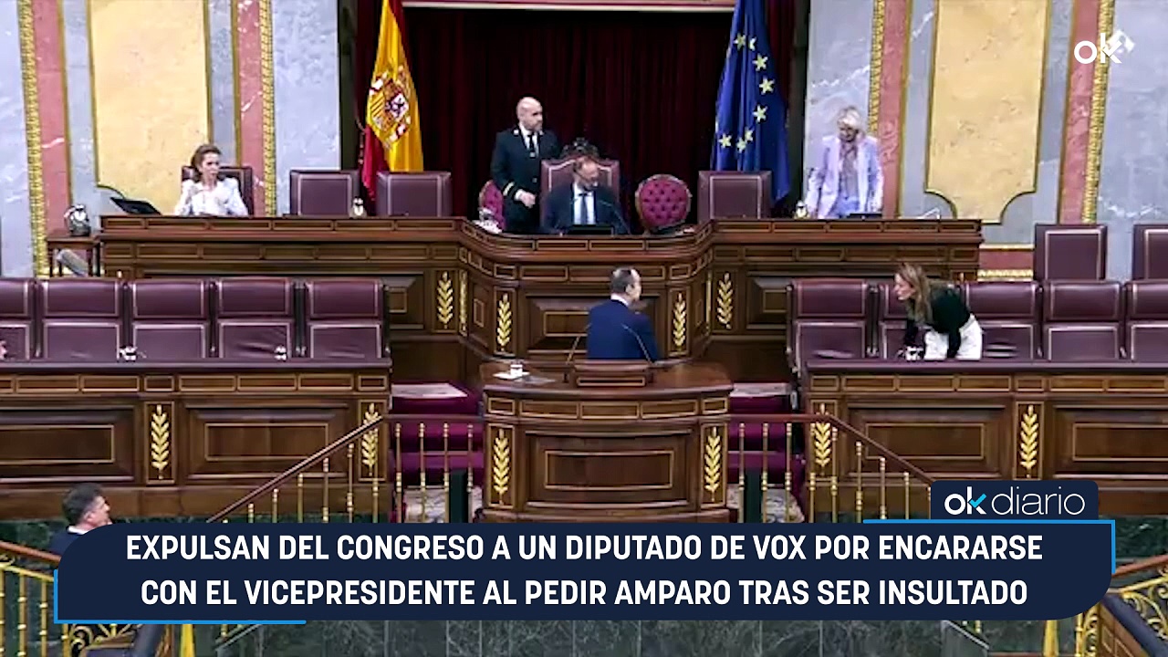 Expulsan del Congreso a un diputado de Vox por encararse con el ...
