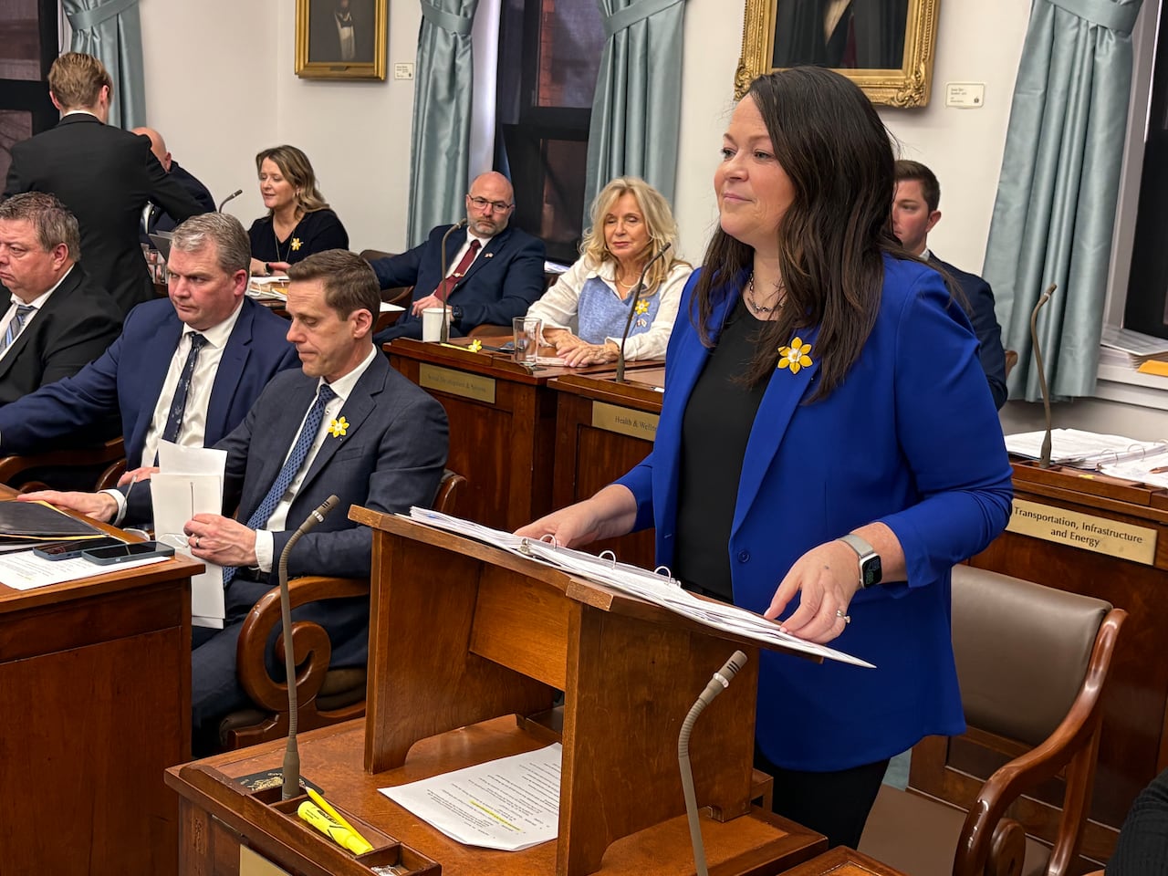 Former finance ministers say there's value in PEI budget, even if ...