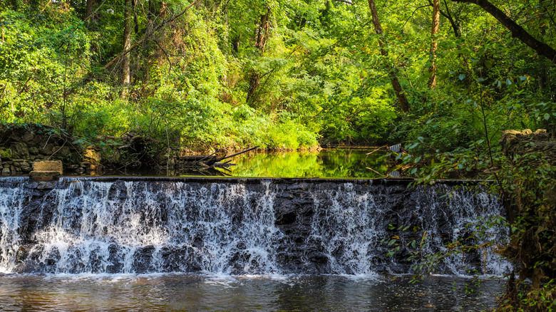 Nestled in the outskirts of Atlanta lies a nature preserve with scenic ...