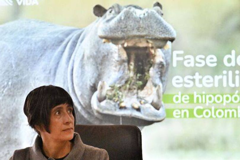 Pablo Escobar's 'incest cocaine hippos' to be killed after terrorizing ...