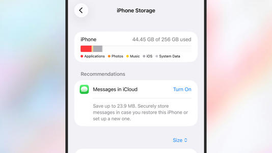 Both Android and iOS will make recommendations about freeing up space. Screenshot: Apple