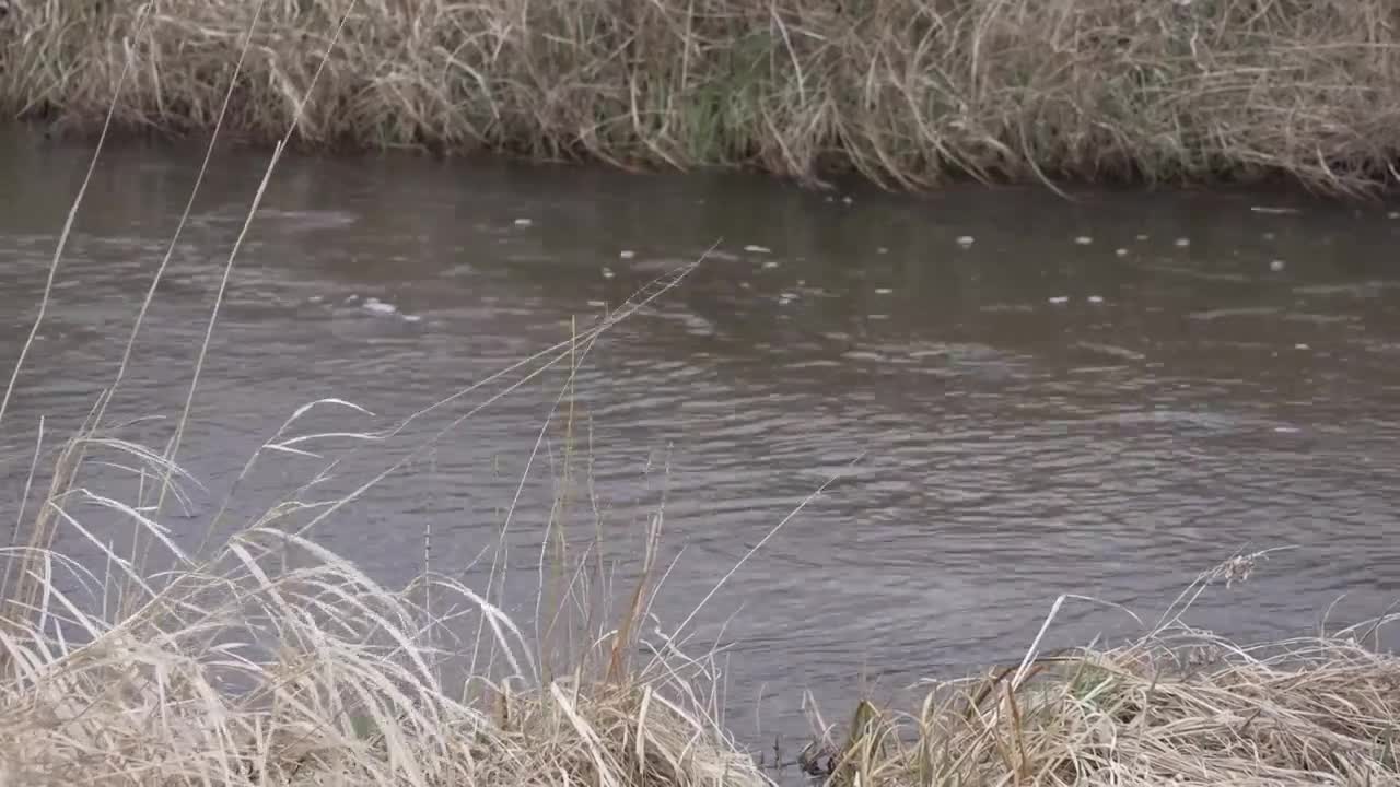 How to prepare for potential spring flooding