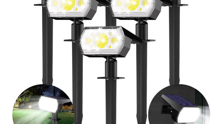 Get Walmart's Daybetter solar light 6-pack for $34 — perfect for your ...