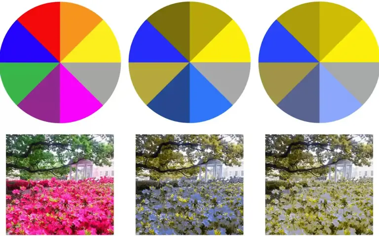 Not just black and white: understanding colour blindness