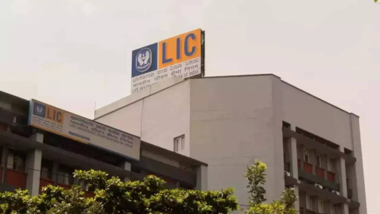 LIC shares soar 5% after first-ever 1:1 bonus issue. Here's everything you  need to know