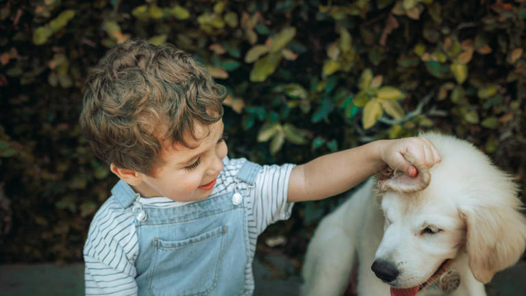 Pet ranked #1 best for kids ages 8-11 will totally shock you