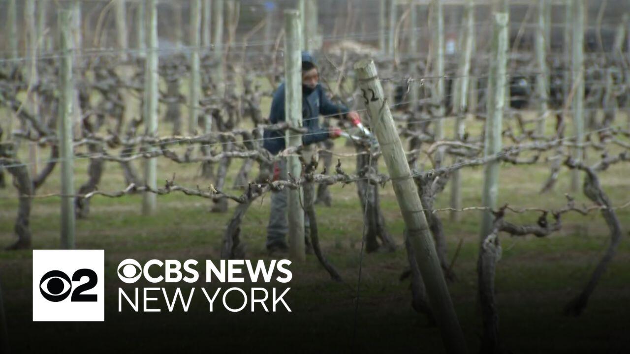 ICE sightings on Long Island spark worries among farm, winery workers