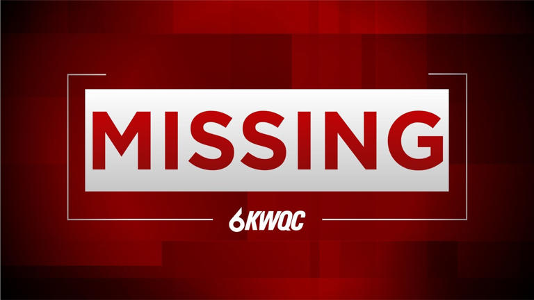 Man missing after jumping into Rock River during police chase