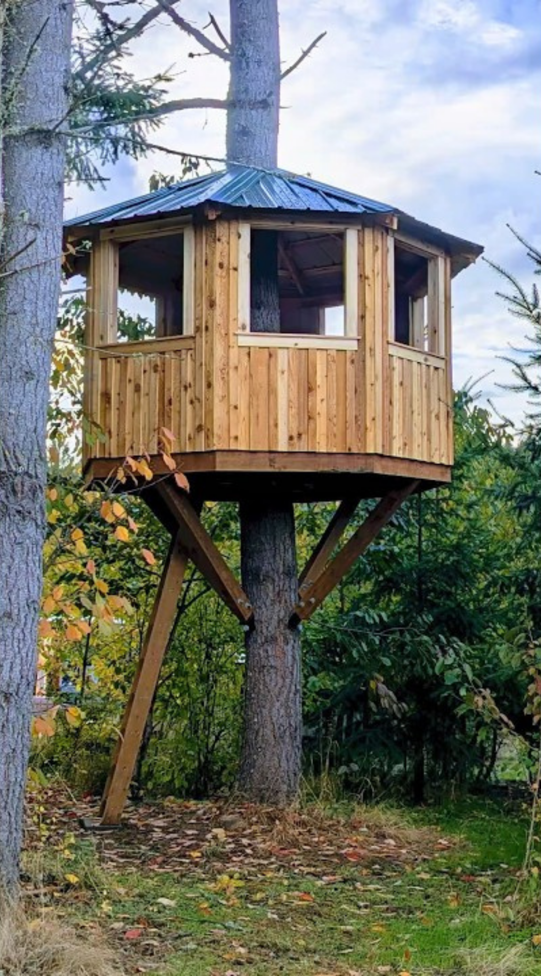 How to build a treehouse that feels like a hidden adventure spot