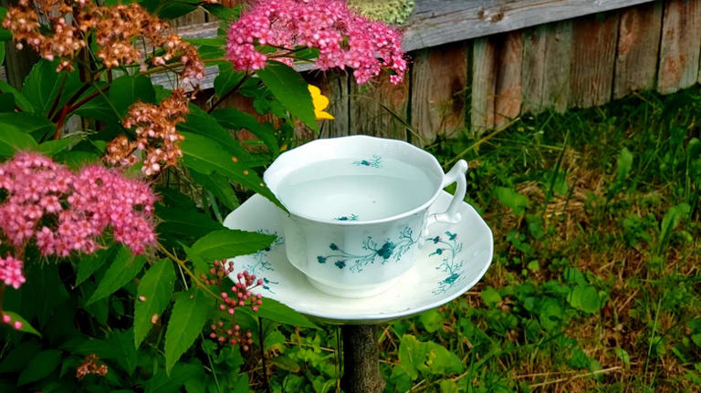 Transform a thrifted teacup and saucer into a birdbath birds will flock to