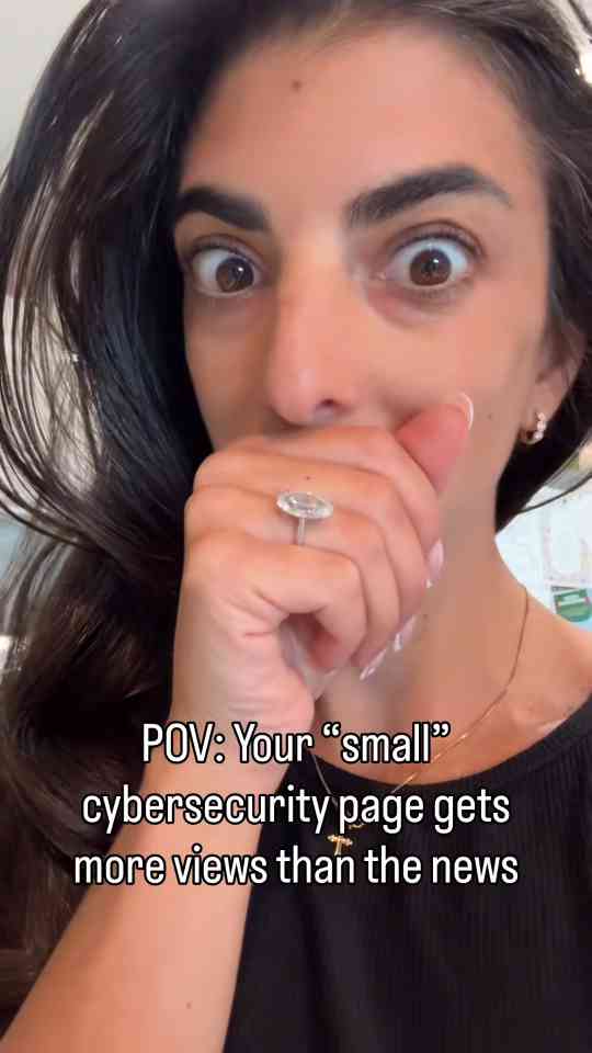 POV: Your "small" cybersecurity page gets more views than the news