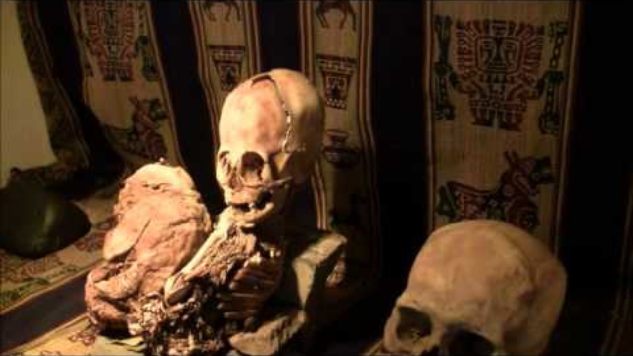 Nephilim or natural history? The strange elongated skulls of Peru