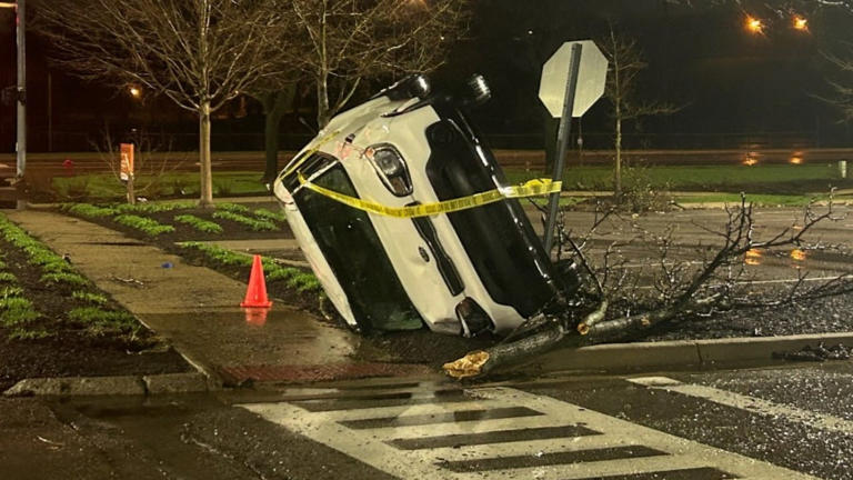 Strong storms leave mess of damage across parts of southeast Michigan