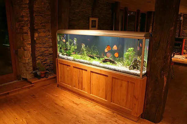 How aquarium placement as per Vastu can bring luck, wealth and harmony