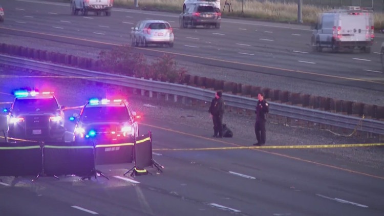 Carjacking suspect killed by deputies on I-5 identified
