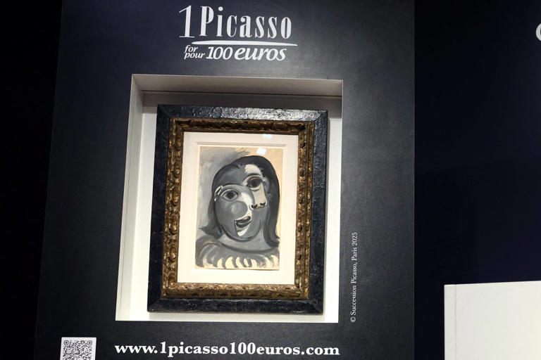 French man wins €1m Picasso after buying €100 ticket in charity raffle