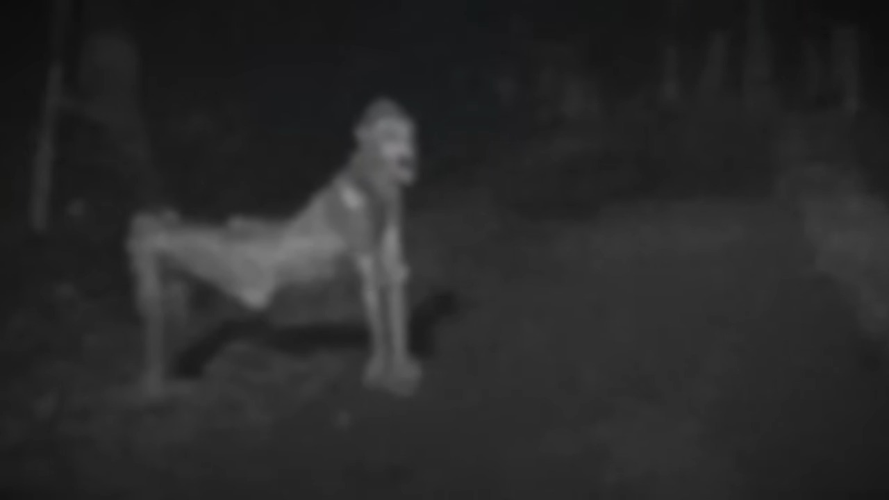 A navy intelligence officer visited Skinwalker Ranch - then it followed ...