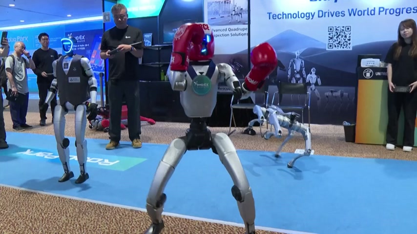 Humanoid robots box and perform at Hong Kong AI and robotics fair