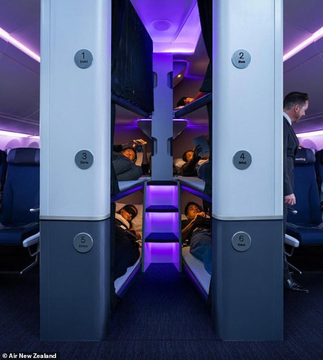 Each nest is around 203cm (6.6 feet/ 80 inches) in length, and width at the shoulder is around 64cm (25 inches), with top, middle and bottom pods available 