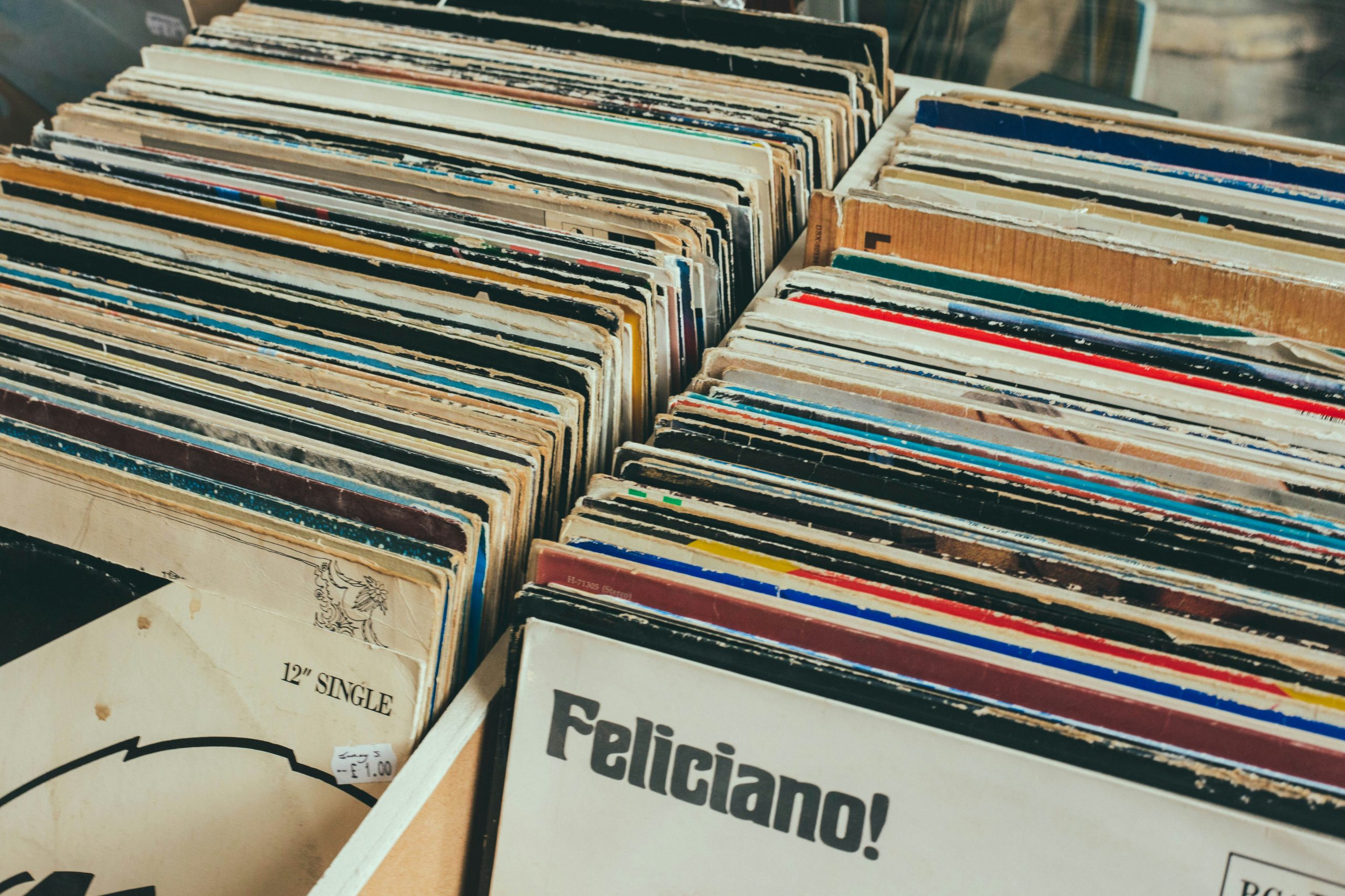 Ideas for organizing a massive vinyl record stash