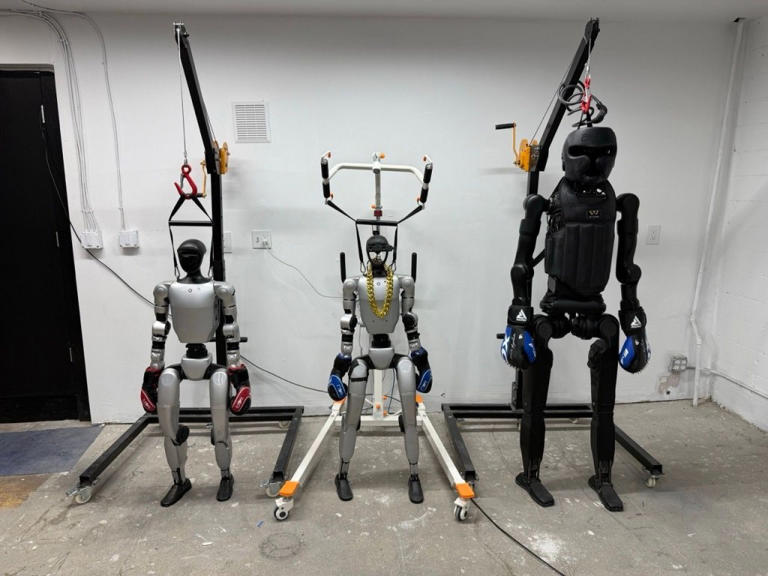 Glitching robots make hilarious viral videos — but AI experts say they ...
