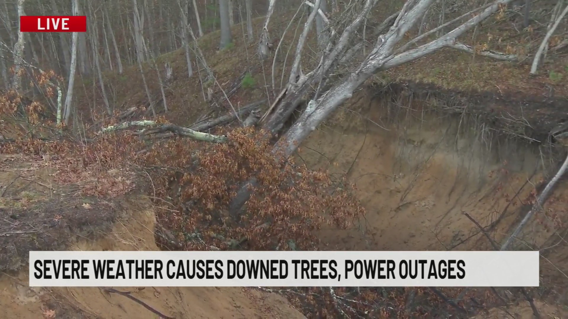 Severe weather causes downed trees, power outages