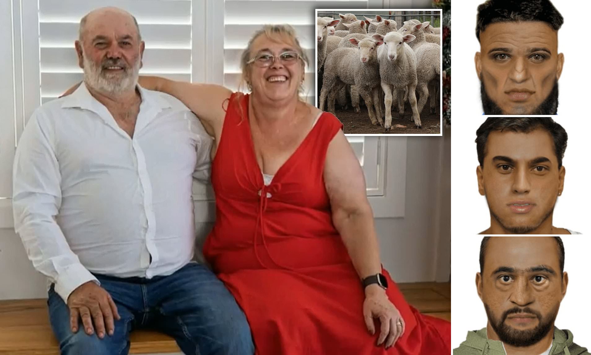 How vicious 'Merino Mafia' sheep war is tearing country Victoria apart