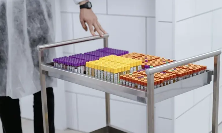 How lab testing supports healthy aging