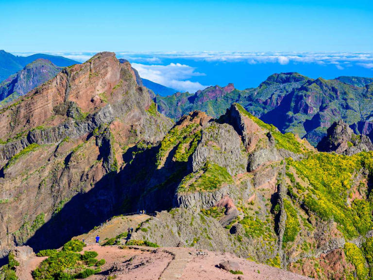Madeira ritrova la sua regina: riapre il PR1 Vereda do Areeiro, il ...
