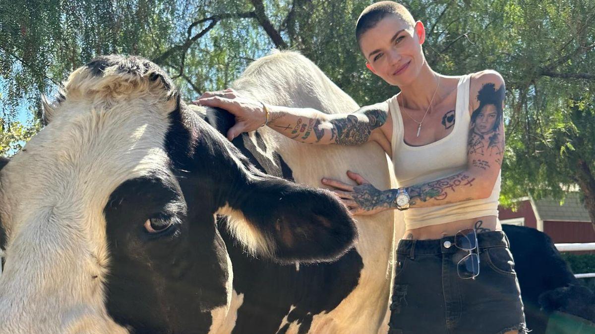 Ruby Rose gushed over her 'love' for Katy Perry 2 years after alleged ...
