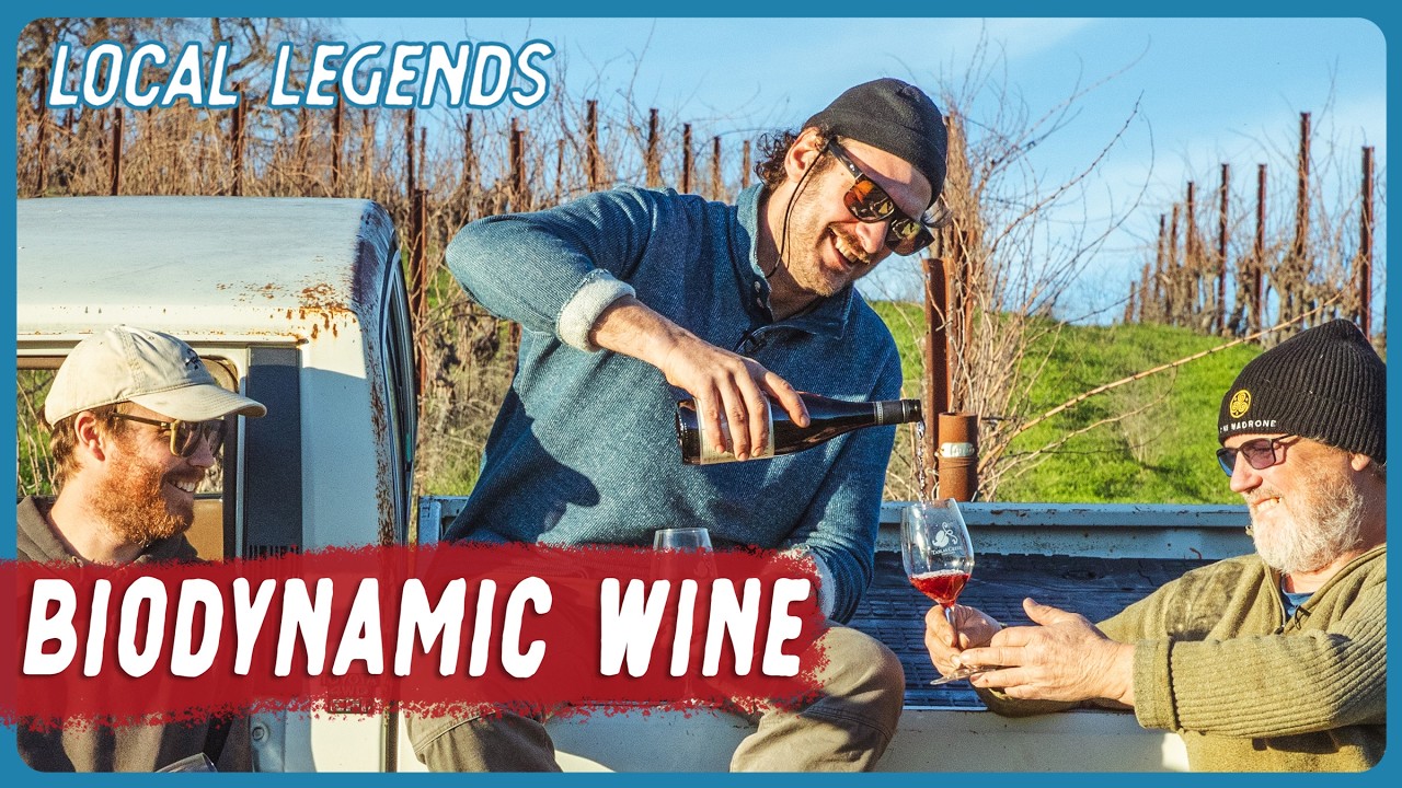 Visit the first regenerative organic certified vineyard on Earth