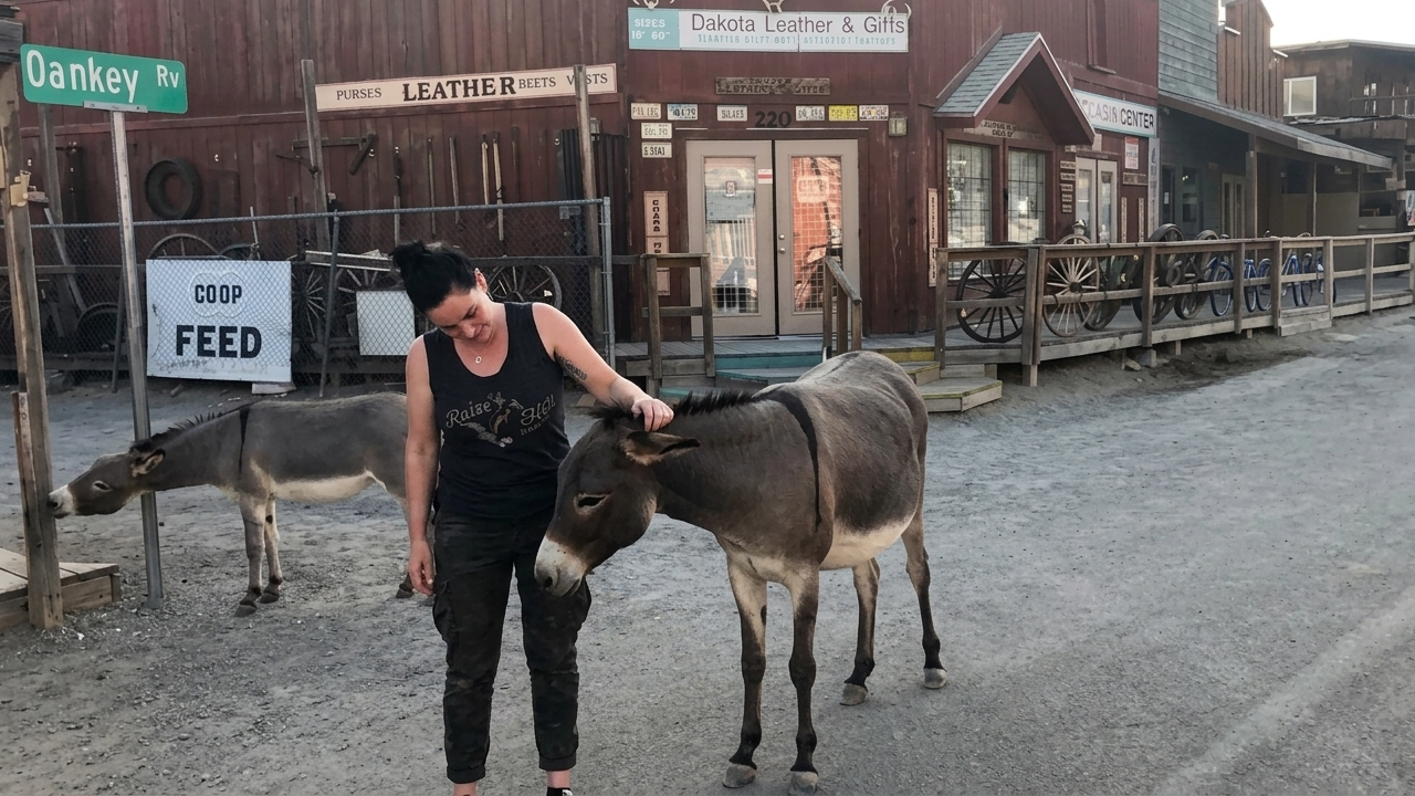 Watch what happens when she gets too close to a donkey