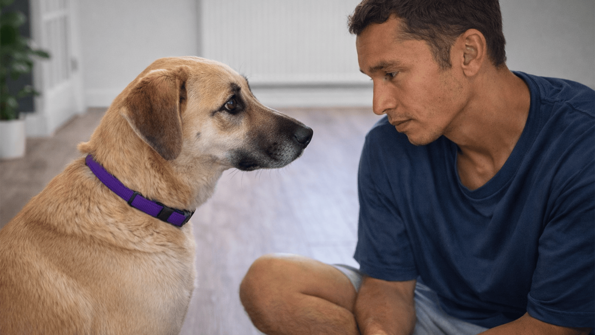A completely shut down rescue finally lets us in