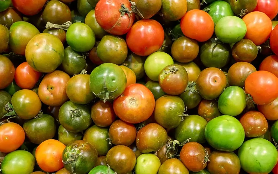 Tomato rice recipes you’ll crave daily