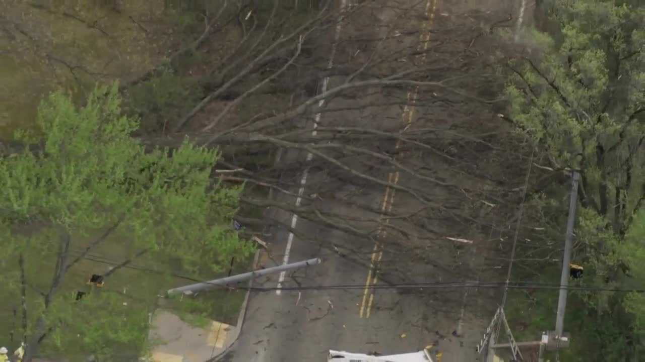 Downed tree blocks road in McCandless, Allegheny County