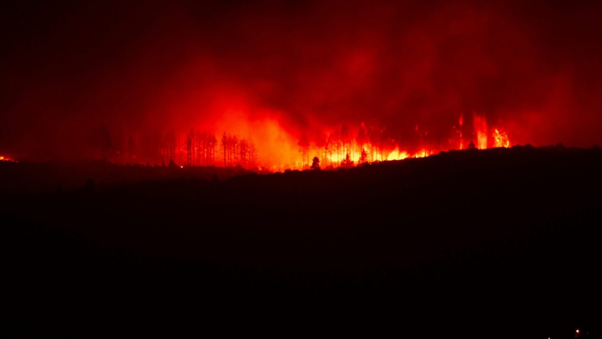 Nearly the entire western US could face wildfire risk this summer, new ...