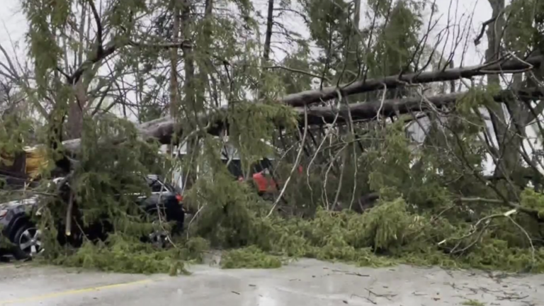 Overnight storms leave flooding, damage across Illinois with another ...
