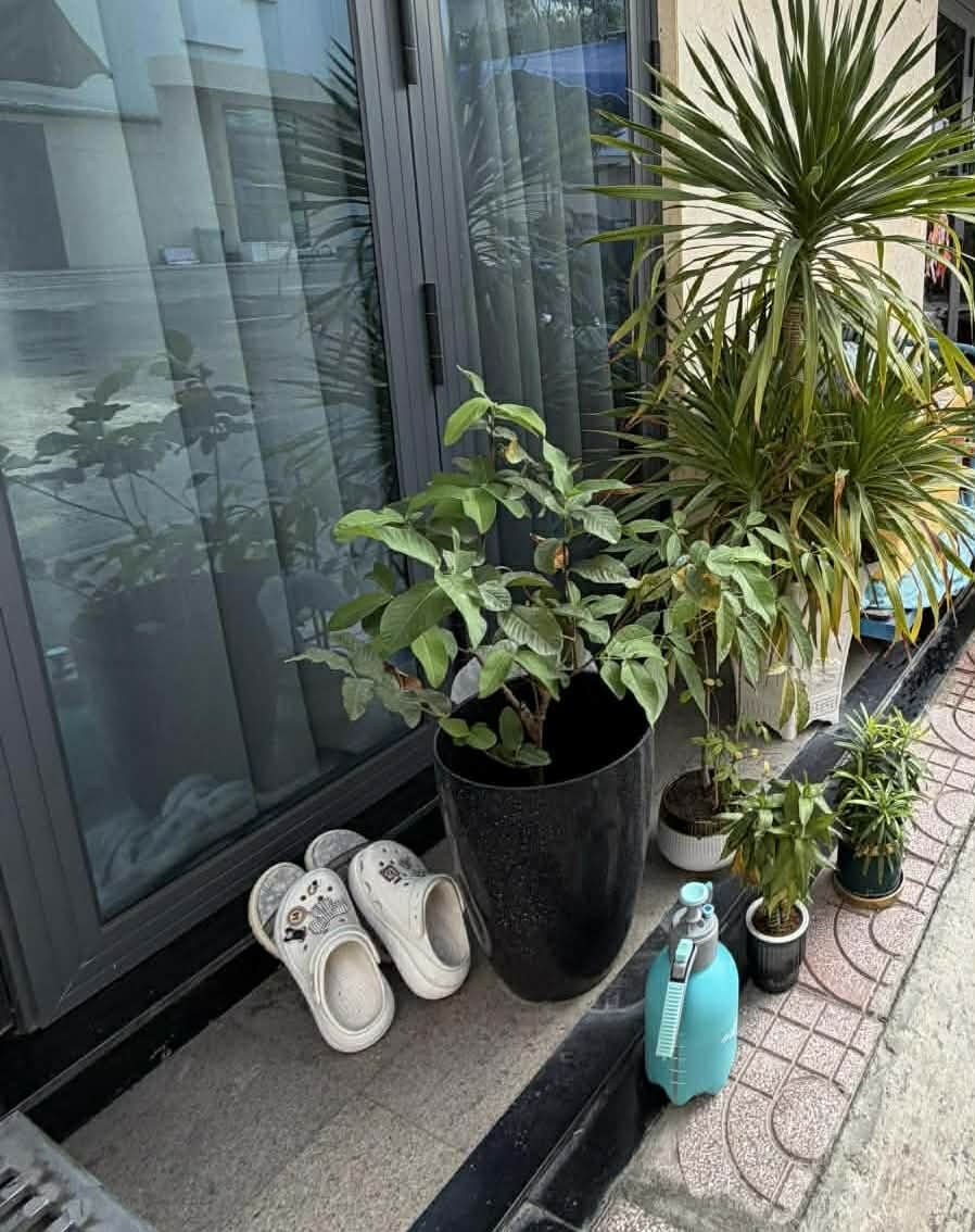 Bức xúc vì hàng xóm 'chĩa camera an ninh vào nhà'